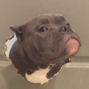 Meet your Posher, Morgaine